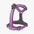 Y-valjas Comfort Walk Air Purple Passion v.3.0 Dog Copenhagen - Koiran Y-valjaat - 038065 - 2