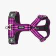 Y-valjas Purple Passion Comfort Walk Air Dog Copenhagen - Koiran Y-valjaat - 012065 - 4