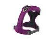 Y-valjas purppura Comfort Walk Pro DC - Koiran Y-valjaat - 022655 - 3
