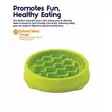 Kitty Slow Feeder 14cm vihreä Petstages - Aktivoivat ja ahmimisenesto ruokakupit - 045725 - 2