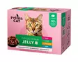 Classic hyytelölajitelma 12x85g PrimaCat - Aikuisten kissojen säilykkeet - 029895 - 2