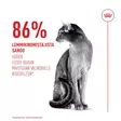 Fussy Exigent Feline Health Nutrition Royal Canin - Kissan kuivaruoat aikuisille kissoille - 053845 - 7