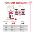 Fussy Exigent Feline Health Nutrition Royal Canin - Kissan kuivaruoat aikuisille kissoille - 053845 - 9