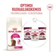 Fussy Exigent Feline Health Nutrition Royal Canin - Kissan kuivaruoat aikuisille kissoille - 053845 - 6
