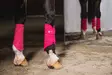Jännesuojat Mesh Tendon Boots lipstick Eskadron - Hevosen vuohis- ja hivutussuojat - 059515 - 5