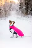 JumppaPomppa Pinkki - Koiran paidat ja neuleet - 049045 - 5