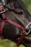 Karvariimu Half Fur Showline burgundy-harmaa Bucas - Hevosen nylonriimut - 052325 - 3