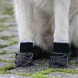 Koiran sukka tarralla Universal 4 kpl musta V.I.P Dogwear - Koiran tossut, sukat ja korvasuojat - 057115 - 2
