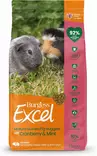 Mature Guinea Pig Cranberry & Mint 1,5kg Excel Burgess - Marsun ruoka - 052735 - 1
