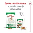 Adult MINI Royal Canin - Koiran kuivaruoat aikuisille koirille - 001075 - 8