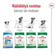 Adult MINI Royal Canin - Koiran kuivaruoat aikuisille koirille - 001075 - 7