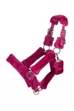 Nylonriimu Comfort magenta HKM-sports - Hevosen nylonriimut - 059625 - 1