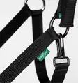 Nylonriimu+naru 2m Newmarket witney gold Horseware - Hevosen nylonriimut - 055435 - 4