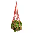 Ripustettava ruokintaverkko kanoille 50x18cm punainen Duvo+ - Kotieläinten ruokinta-astiat ja ämpärit - 059655 - 1
