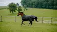 Sadeloimi 0g Lumin 600D musta Tyrex Equitheme - Hevosen vuorettomat ulkoloimet - 058055 - 1