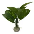 Tekokasvi Anubias 1 24cm Aqua Della - Terraarion tarvikkeet ja kuivikkeet - 043215 - 1