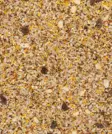 Ulkolintujen siemenseos kuoreton 4 Seasons Blend Clean Garden Versele Laga - Villieläinten ja -lintujen ruokinta - 055165 - 2