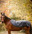 Ulkoloimi Rambo Autumn Series (0g) liner 100g navy-grey Horseware - Hevosen vuorettomat ulkoloimet - 057735 - 11