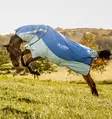 Ulkoloimi Rambo Autumn Series (0g) liner 100g navy-grey Horseware - Hevosen vuorettomat ulkoloimet - 057735 - 10