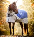 Ulkoloimi Rambo Autumn Series (0g) liner 100g navy-grey Horseware - Hevosen vuorettomat ulkoloimet - 057735 - 2