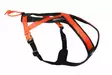 Valjas Rush musta-oranssi Non-stop dogwear - Koiran veto- ja juoksuvaljaat - 050095 - 1