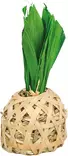 Virikelelu Ananas 6,5x14cm Trixie - Pieneläinten lelut ja puuhasteltavat - 057935 - 1