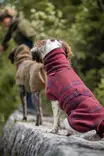 WooliePomppa Maroon - Koiran manttelit - 059295 - 5