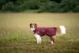 WooliePomppa Maroon - Koiran manttelit - 059295 - 1
