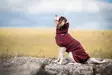 WooliePomppa Maroon - Koiran manttelit - 059295 - 3