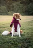 WooliePomppa Maroon - Koiran manttelit - 059295 - 9