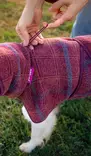 WooliePomppa Maroon - Koiran manttelit - 059295 - 12