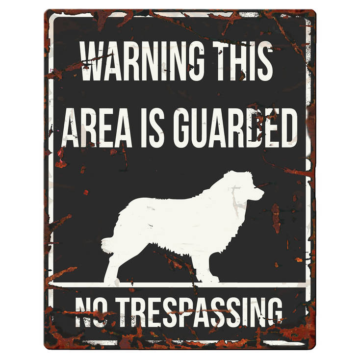 Kyltti Warning bordercollie 20x25cm D&D - Varoitus- ja huomiokyltit - 031905 - 1