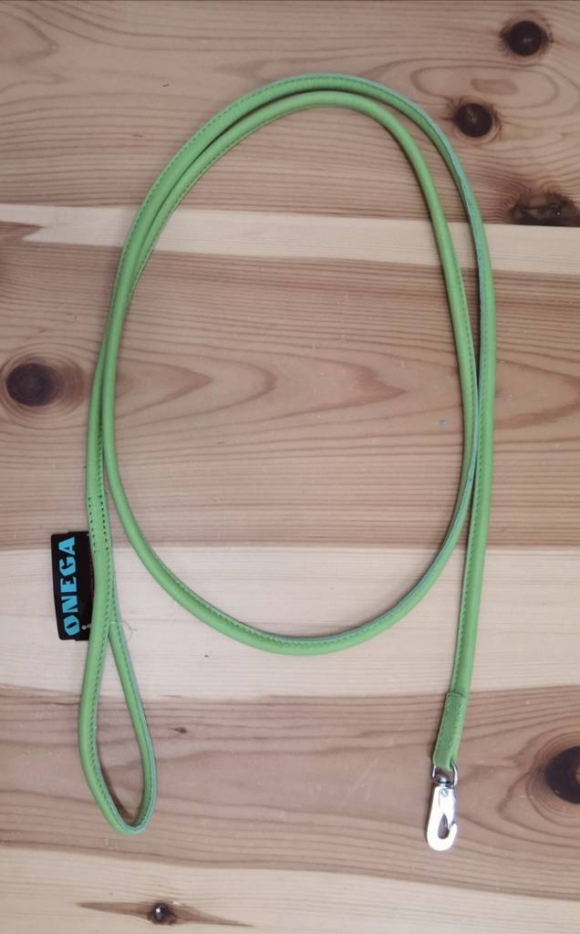 Nahkatalutin pyöreä 6mm/180cm BGB-lukolla vaaleanvihreä Onega - Koiran nahkataluttimet - 033785 - 1