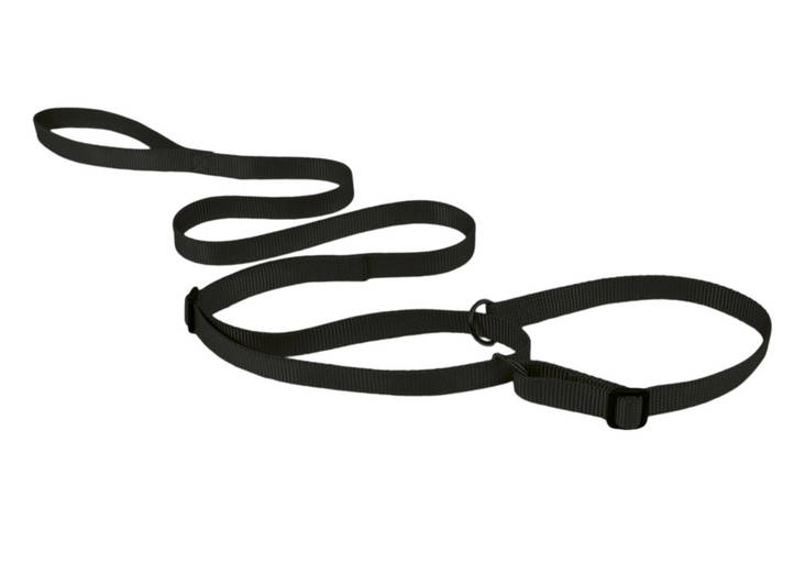 Näyttelytalutin 1/2-kiristävä musta 12mmx150cm Show Tech - Koiran näyttelytaluttimet - 029765 - 1