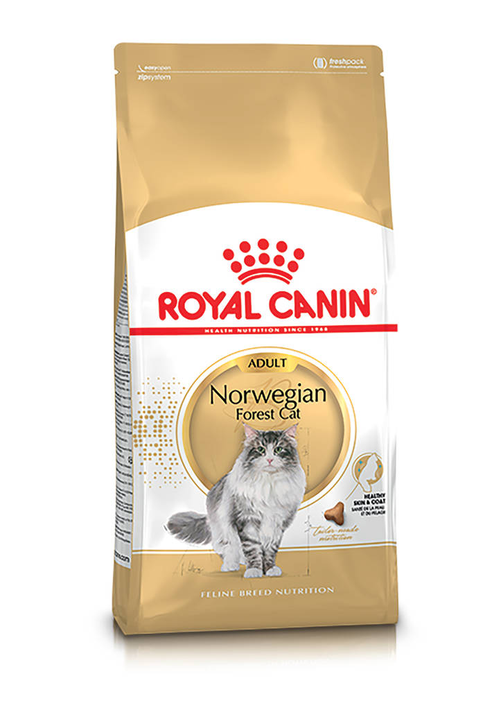 Norwegian Forest Cat Adult Royal Canin - Kissan kuivaruoat aikuisille kissoille - 000515 - 1