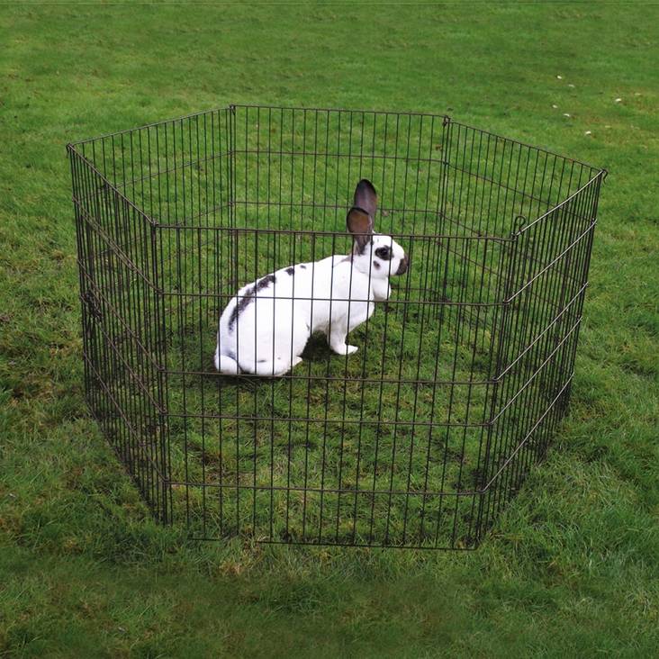 Pieneläinaitaus 116x60x58cm musta Duvo+ - Pieneläinten häkit ja aitaukset - 018855 - 1