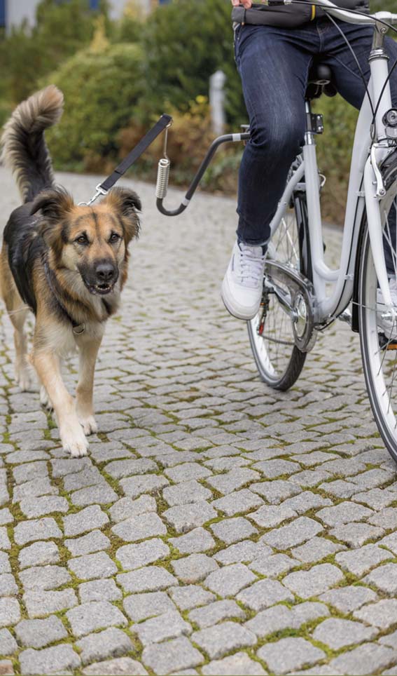 Pyöräilysetti BikerSet M-XL U-malli - Koiran juoksutus, pyöräily, talviurheilu - 028235 - 1