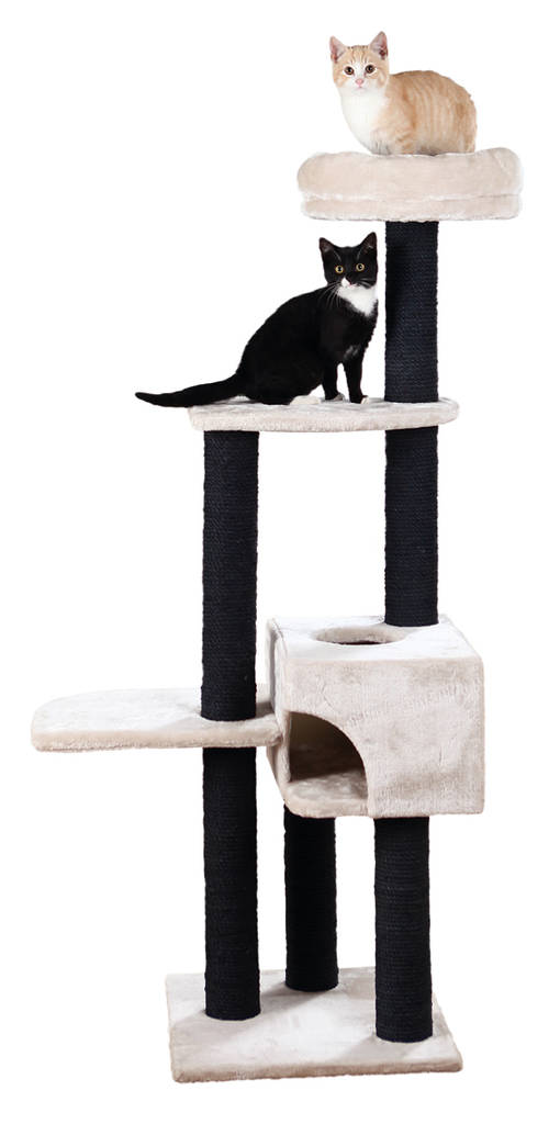 Raapimapuu Nita 147cm v.harm/musta Trixi - Kissan keskikokoiset raapimapuut - 012565 - 1