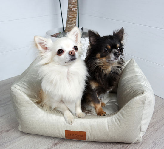 Reunapeti Luxus Vaimare beige Monolith02 Tujoma MemoryFoam - Koiran reunalliset pedit - 032345 - 1