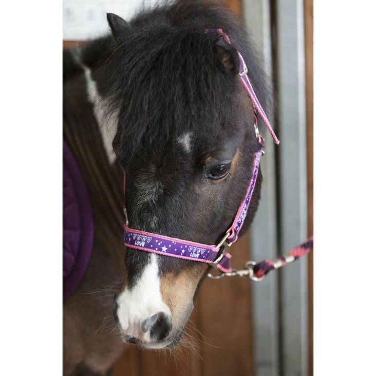 Riimu+naru Pony Love Violetti EquiKids - Hevosen nylonriimut - 022525 - 1