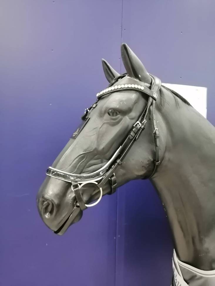 SD® Mystery anatomic bridle Black/White glitterlakatulla turpahihnalla ja valkoisilla toppauksilla. - Ratsuhevosen suitset ja turpahihnat - 027825 - 1