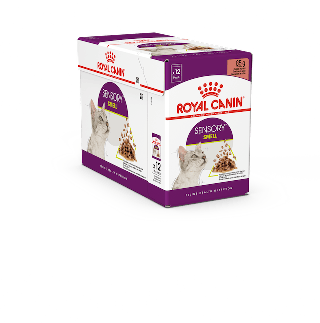 Sensory Aroma Gravy 12x85g kastike Royal Canin - Aikuisten kissojen säilykkeet - 025895 - 2