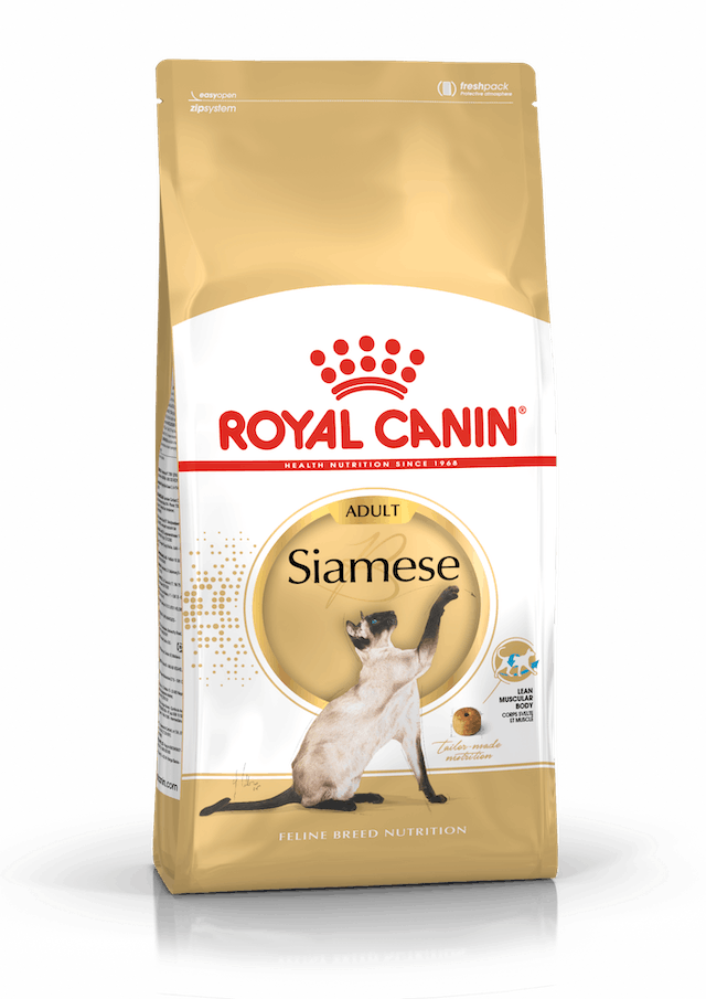 Siamese Adult 2kg Royal Canin - Kissan kuivaruoat aikuisille kissoille - 000585 - 1