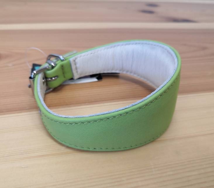 Vinttikoirapanta 30cm eri värejä Onega - Koiran solkipannat - 033355 - 1