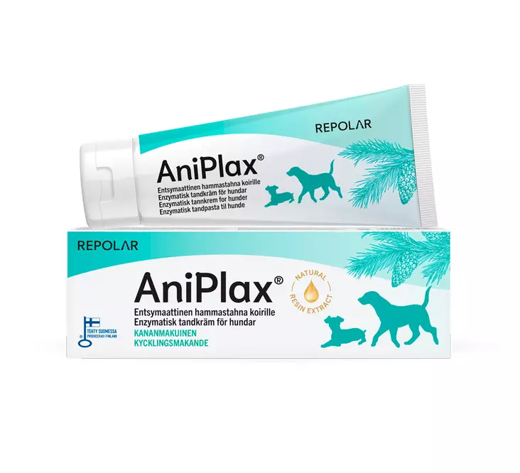 AniPlax entsymaattinen hammastahna koirille 75ml Repolar - Koiran hammashoito - 055065 - 1