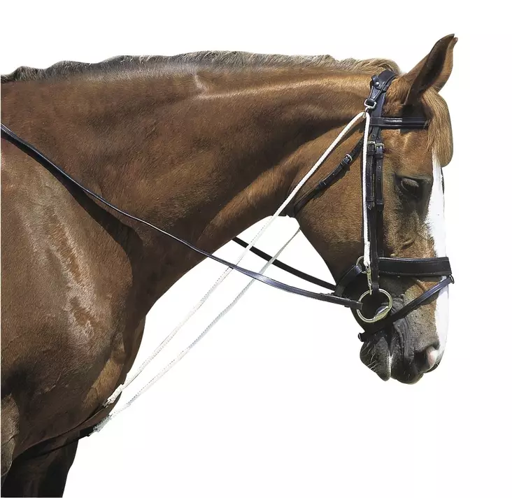 Apuohja chambon nahka Norton Club - Ratsuhevosen ohjat ja apuohjat - 051025 - 1