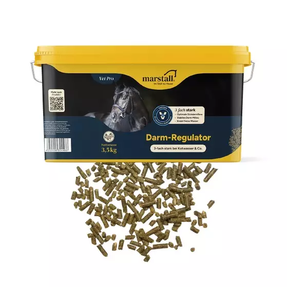 Darm Regulator Marstall - Lisäravinteet hevosen ruoansulatukselle - 034095 - 3