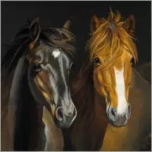 Kortti 13.7x13.7cm Pony Friends - Lahjatavarat - 059135 - 1