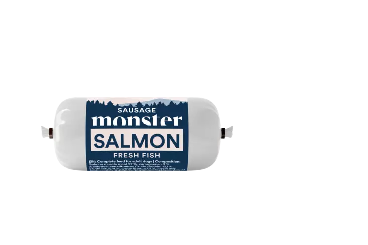 Lohimakkara viljaton monster - Koiran säilykkeet aikuisille koirille - 050315 - 4