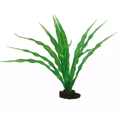 Muovikasvi Crinum 29cm Hobby - Akvaarion tarvikkeet ja hiekat - 059155 - 1